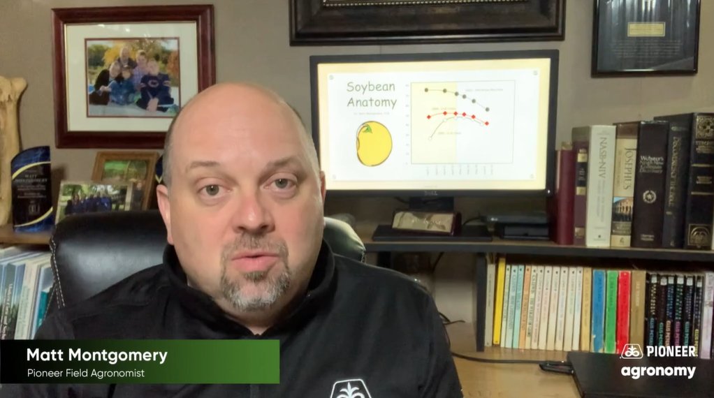 matt_montgo's tweet photo. PIONEER AGRONOMY VIDEO: Subject - Soybean Anatomy. Before we start dropping beans in the ground - let's walk through the structure of a soybean seed. Let's talk about how it differs from a kernel & let's talk about an important "take home" point. See - https://t.co/jeQSQkpmjs https://t.co/AyN0koTkuV