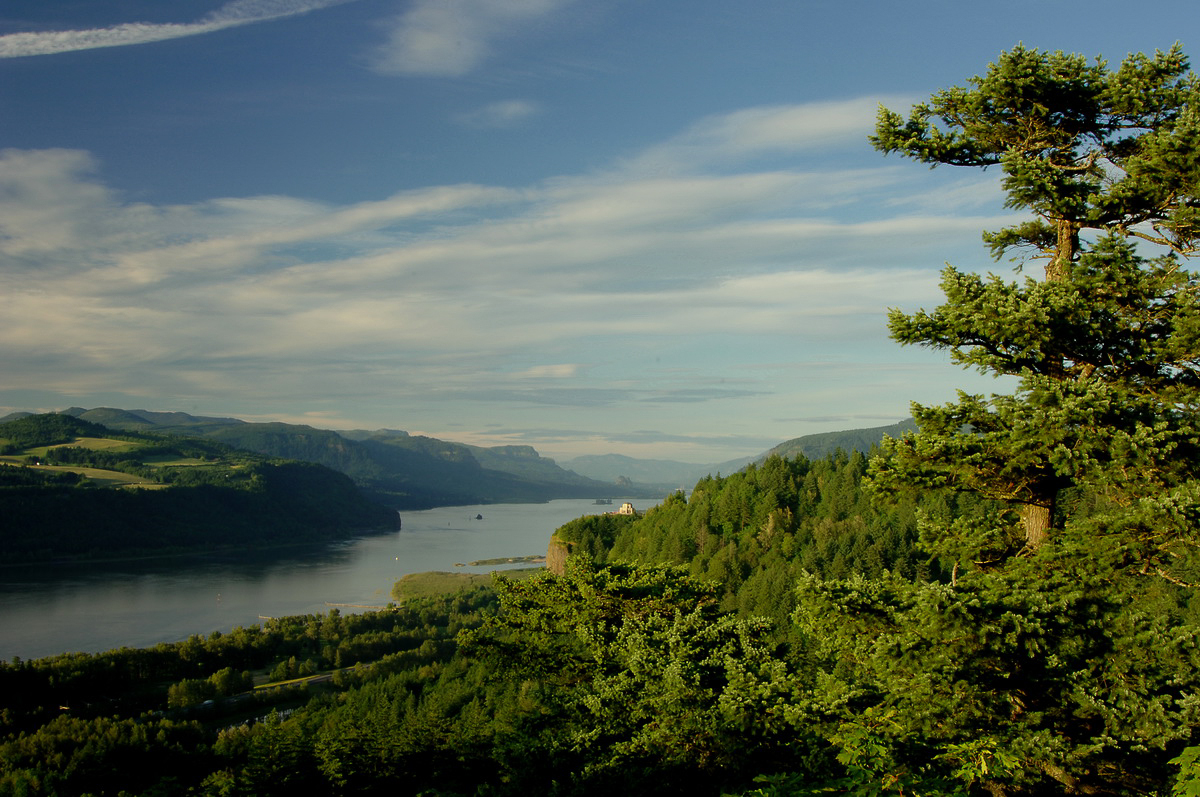 ForestServiceNW's tweet photo. "In nature, nothing is perfect &amp; everything is perfect. Trees can be contorted, bent in weird ways &amp; they’re still beautiful." 

--Alice Walker https://t.co/9sEg8xIasl