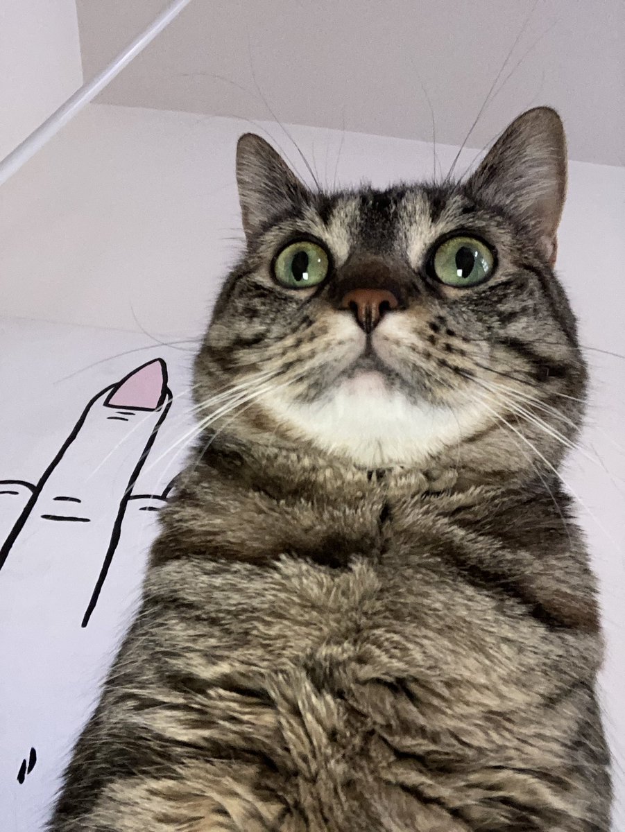 notumathurman's tweet photo. Hey, go stream my dads shit! 

https://t.co/JSql1noRG0 https://t.co/cStY4MS9MP
