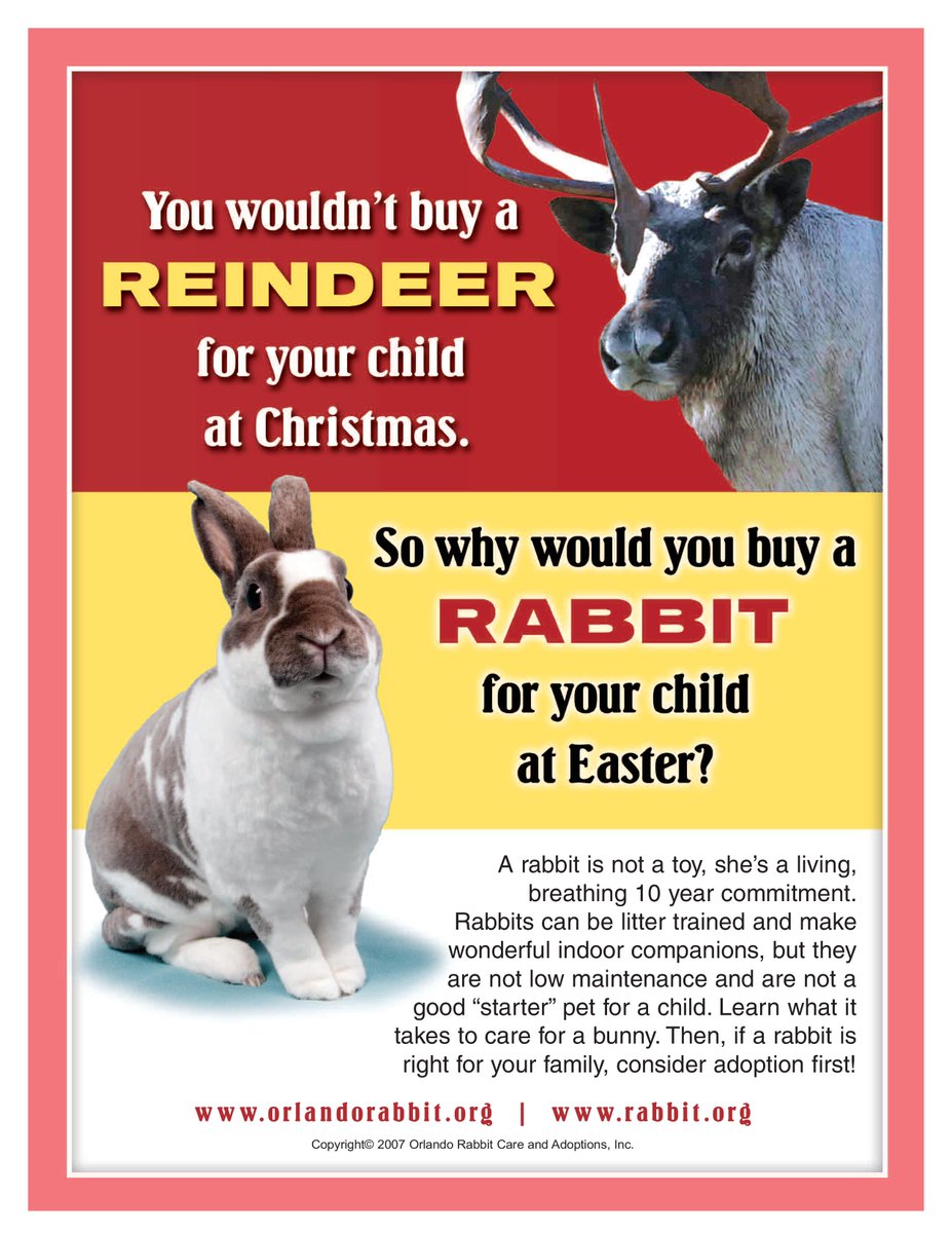 RabbitMatchGame's tweet photo. @Green_Mt_Girl @devon_spier Glass half-full: (married to a rabbit rescuer) anything that in any way discourages people from getting a live bunny for easter... #MakeMineChocolate #NotAnEasterToy (Not low maintenance, not good with small children...more info on request.) After all... https://t.co/VmIPsvEL5c