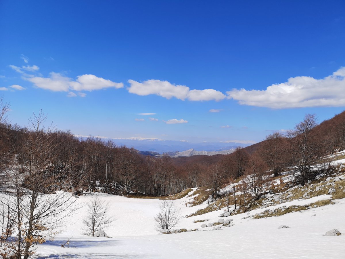 gianni8211's tweet photo. The beautiful side of forest researcher, #unimol, #TreeTalkerNetwork, #climo, #LIFE_AForClimate https://t.co/IVkFyYs3oF