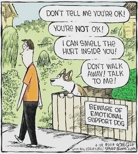 AnxietyMart's tweet photo. Emotional support dogs are trained experts.
#itsokaynottobeokay #youarenotalone #emotionalhealth #anxiety #stress #cognitive #StressLessNaturally https://t.co/AOKPUJGNqF