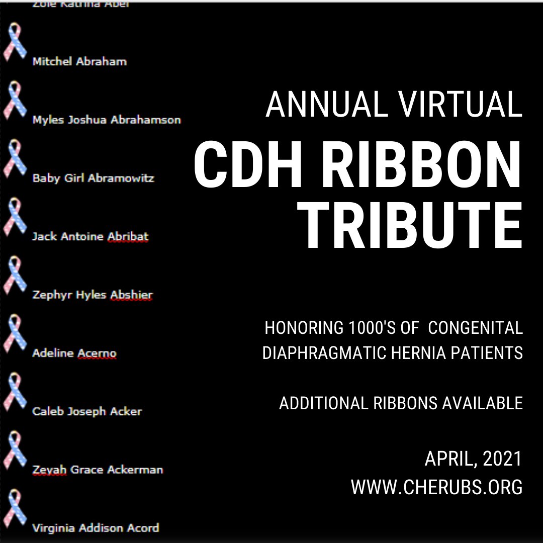 cherubs's tweet photo. 2021 CDH Ribbon Tribute Is Available Now over at https://t.co/SsXWmYepFp.

To read more visit https://t.co/ztaVQqV76c.

#cdh #cdhawareness #savethecherubs #cdhi #cdhinternational #cdhsupport #cdhhelp #congenitaldiaphragmatichernia #patientadvocacy #cdhawarenessshop #cdhribbon https://t.co/msSdy8gbg4