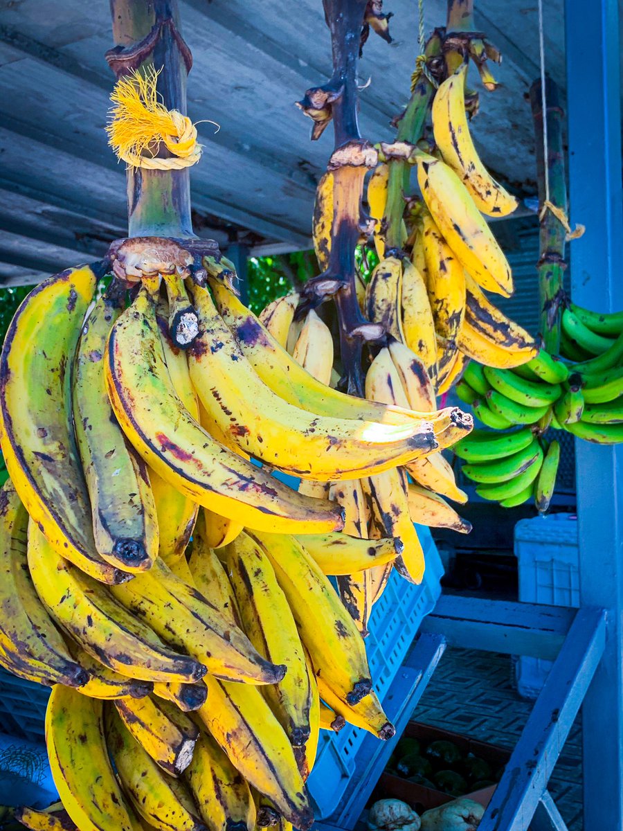 EmaniTV's tweet photo. Frutas Frescas https://t.co/9ALapCJldV