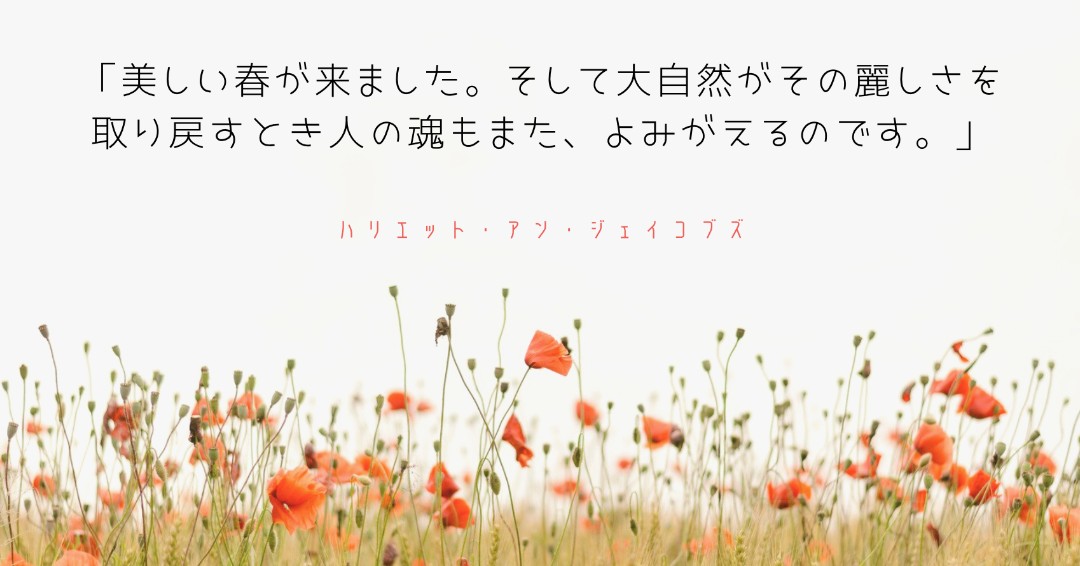Family First Japan Ffg Japan توییتر Family First Japan Ffg Japan توییتر