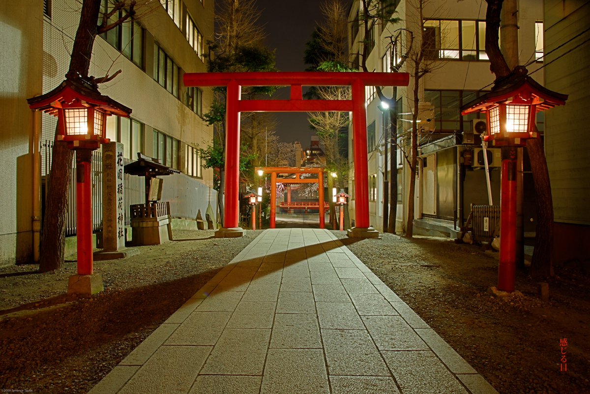 sensualeye's tweet image. Hanami memories in Kabukicho, Hanazono Shrine.  Japan I miss you.  歌舞伎町の花見の思い出、花園神社。