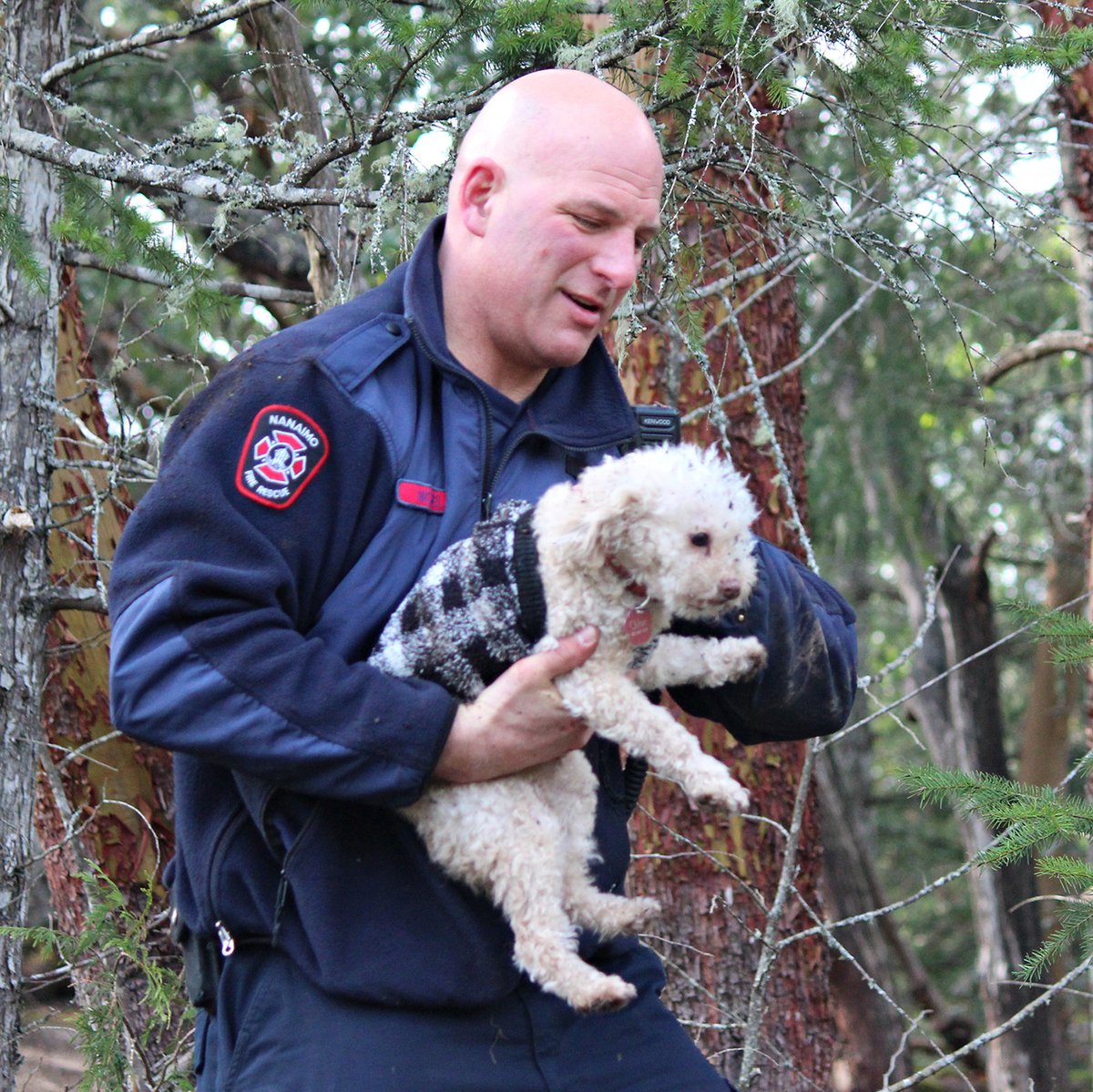 Nanaimo Bulletin tweet media