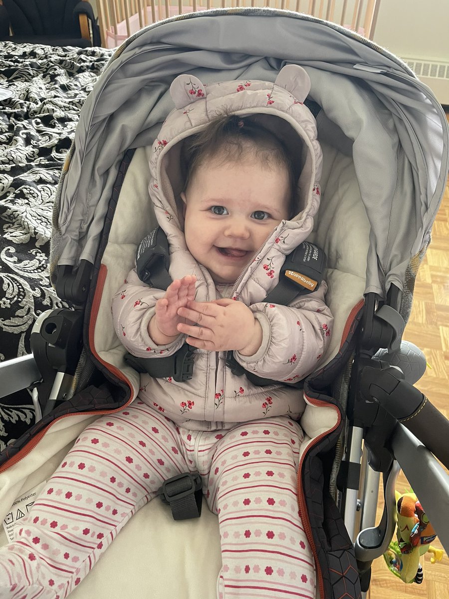 ub3rspew's tweet photo. Happy 8 months to this bundle of joy💕 I wouldn’t want to share my birthday with anyone else 💕💖 #pokébean #birthday #8months https://t.co/hbv4YNidu9