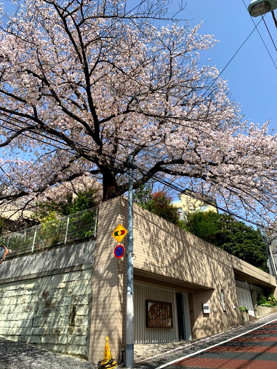 ひばり 御殿 売却