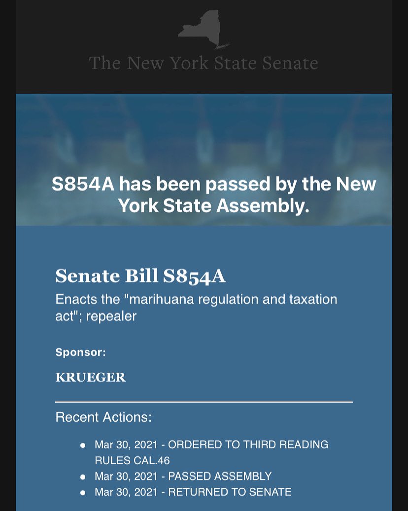 hiller_pc's tweet photo. Senate Bill S854A, the bill to enact the #MRTA and legalize the adult use of marijuana in New York State is on its way to @NYGovCuomo desk for a signature. This is huge. We’re ready. 

#LegalizeIt #033021 #NYC #HillerPC #CannabisLawFirm #CannabisLawyers #NYLegalCannabis https://t.co/0DBSIy17n7