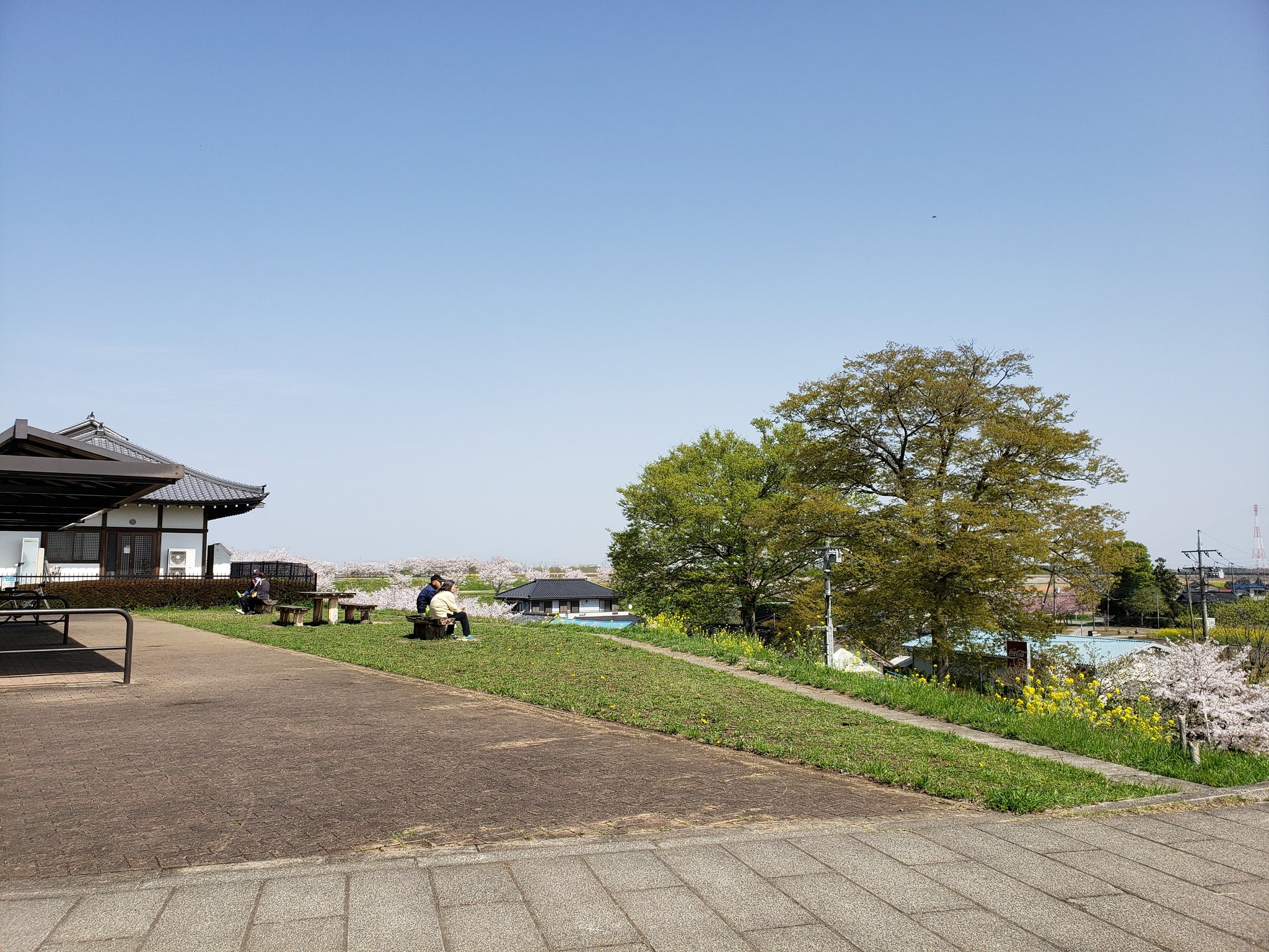 Project Bicky 関宿城到着 片道35 で足パンパン お城見ながらホットサンドとレモネードでお昼ごはん 関宿城 利根川サイクリングロード 江戸川サイクリングロード アウトドア ゆるポタ グルメ T Co Pzyhndfaes Twitter