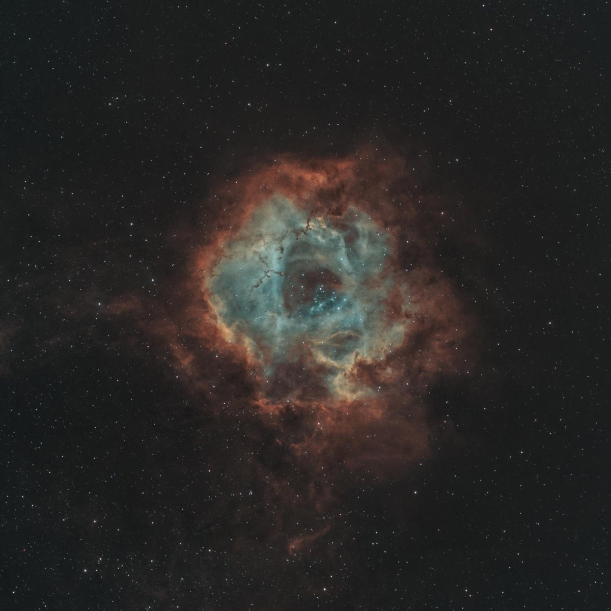 #Nebula. 