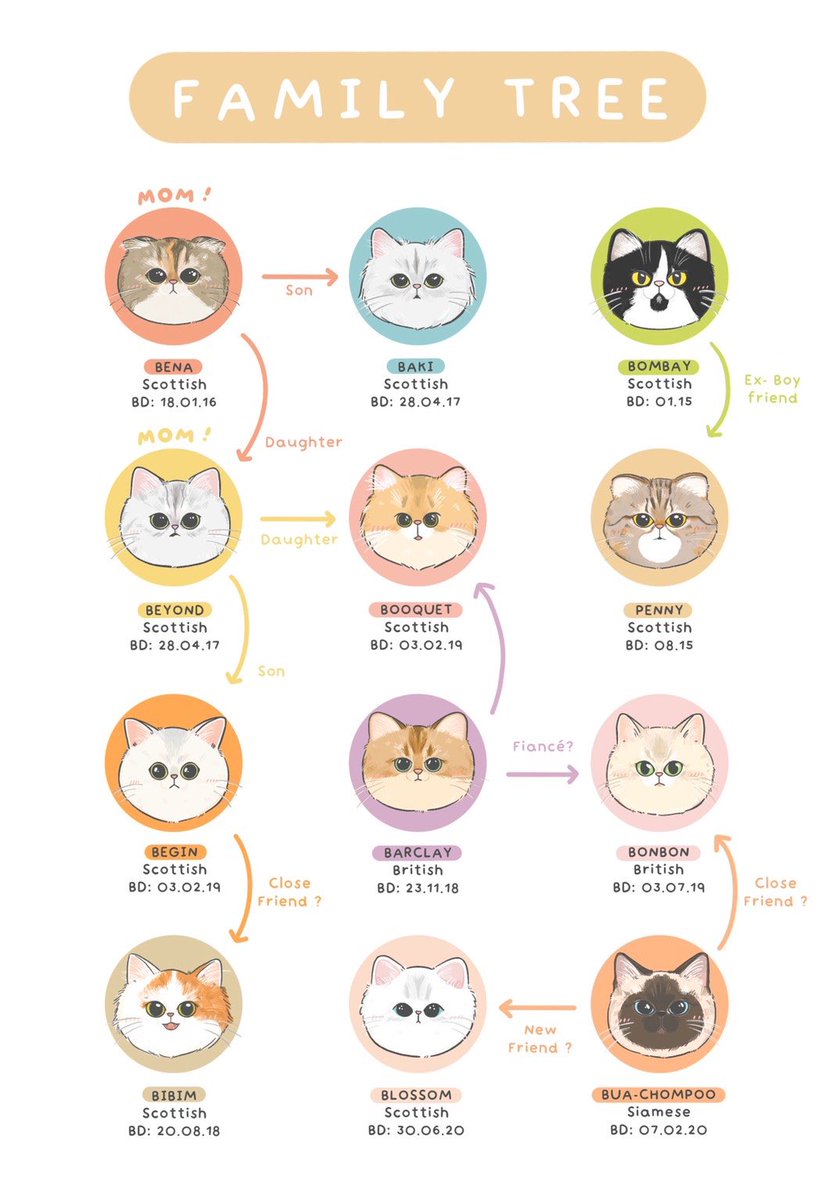 Family tree แบบปุ้กปิ้กน่ายักก