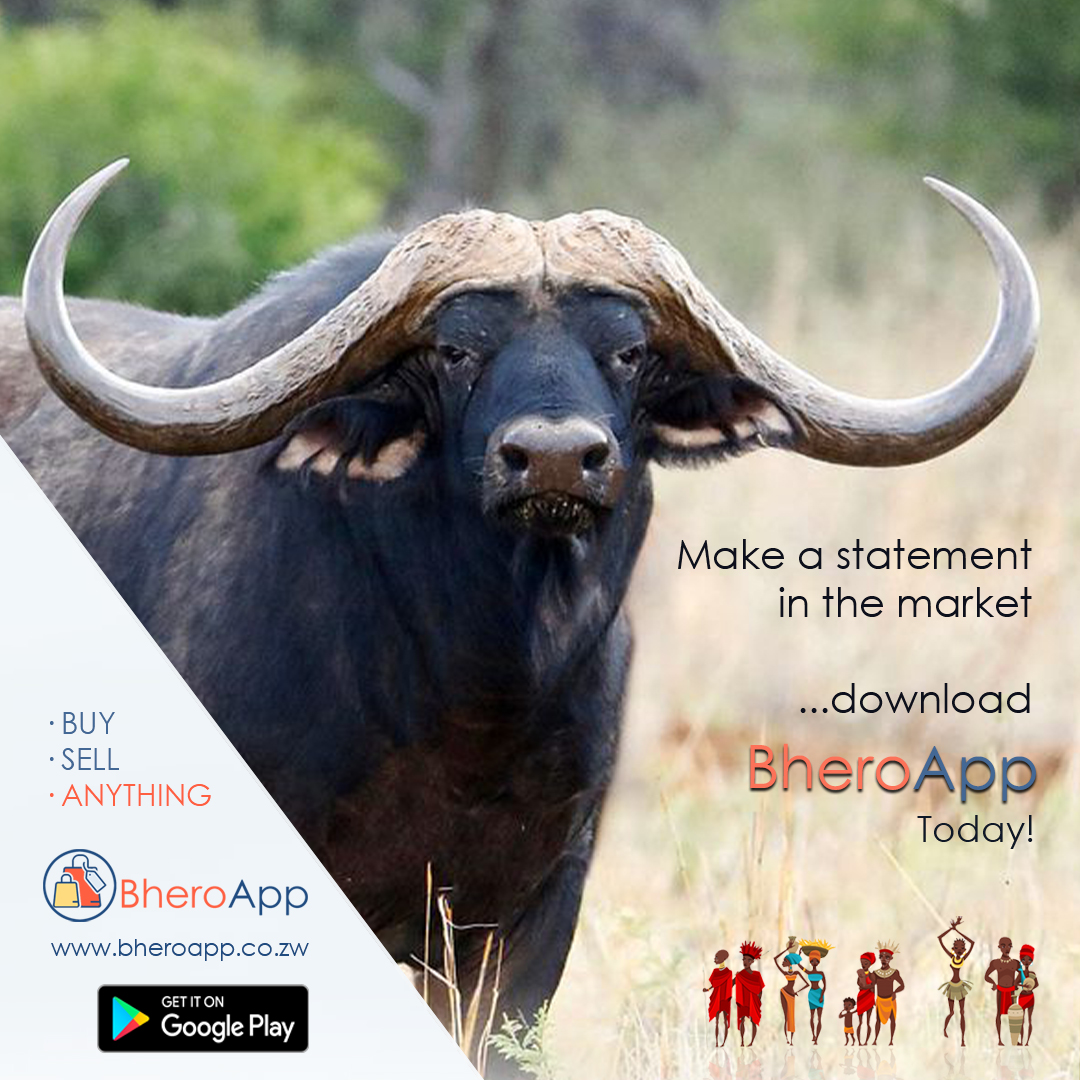 AppBhero's tweet photo. Let your brand be the best in the #marketplace with #BheroApp! #onlinestore #OnlineMarketing #zimbos #Mzansi #bigfive
@BridgetteRue_N @MAKOSI @dfinity @EdwardBako1 @lizmadede
https://t.co/xG6qXVSQ0z | https://t.co/6XwhQQU7Fv https://t.co/FWKeqkHlXL