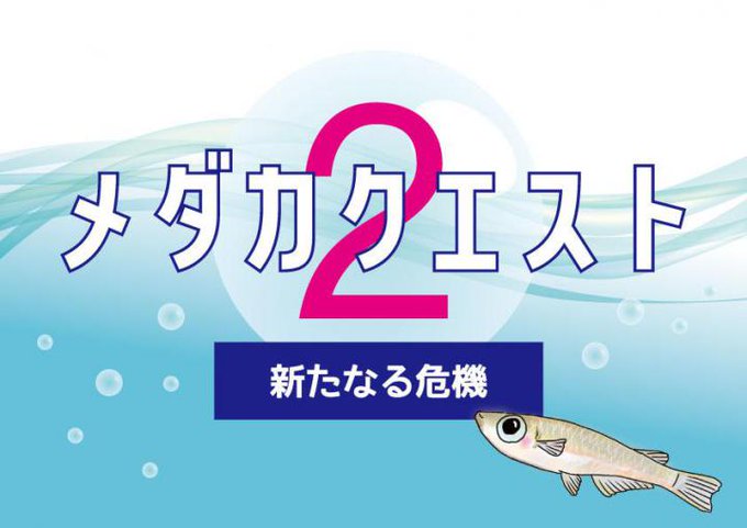 メダカのtwitterイラスト検索結果 メダカのtwitterイラスト検索結果