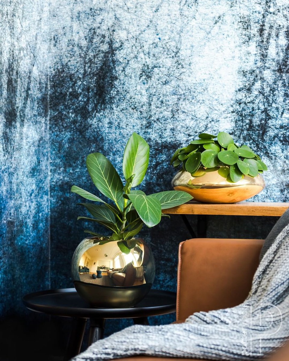 MoieLiving's tweet photo. From jumbo pottery to small accessories, from glossy to rough finishes, #PotteryPots provides high-quality planters for your outdoor and indoor garden.
Check out the collection at MOIE @pacificplace level 1. https://t.co/uj9YnwA9kT