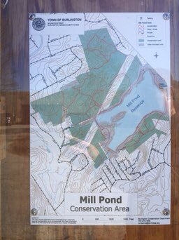 erwinchuk's tweet photo. Nice, quiet run around Mill Pond in Burlington, MA. #burlingtonma #boston #optoutside #springtime #springrunning #getoutside #runboston #bostonfitness #bostonrunners #millpond #reservoir #millpondreservoir @ConCom_01803 #millpondburlington #burlingtonconservation https://t.co/2bi5AHtq7U