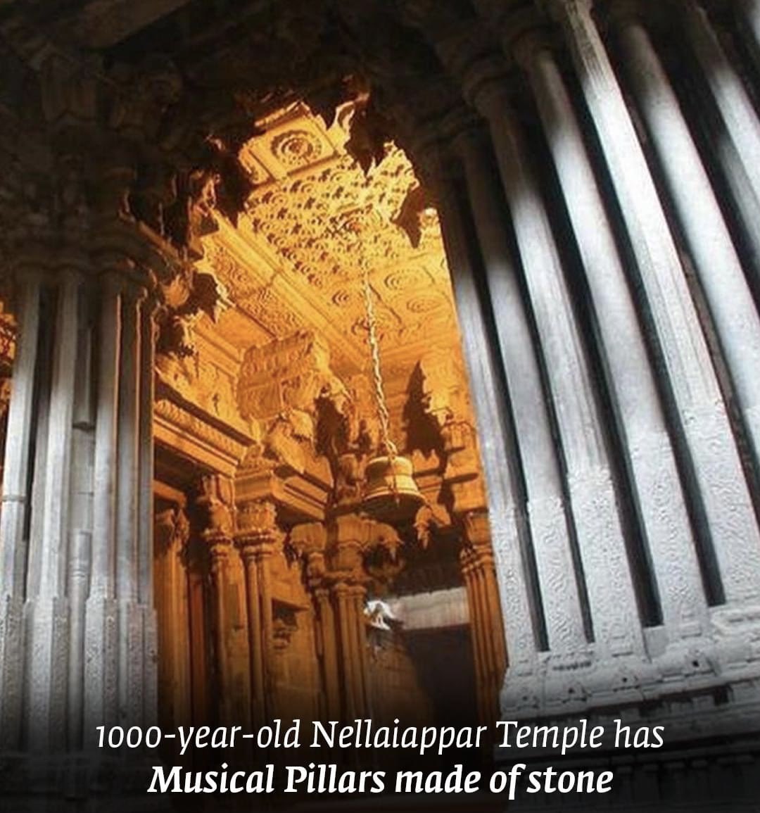 Ashwani Dubey 1000 Year Old Nellaiappar Temple Tamilnadu Has Musical Pillars Made Of Stone Not Only Did Tamil Culture Produce Exemplary Musicians It Even Made Stones Sing A Symphony When Tapped These