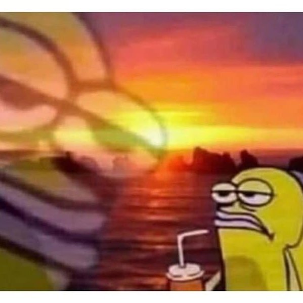 Inaugurando foto de perfil