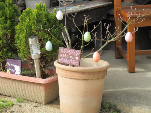 アート工房 風 على تويتر イースターツリーを作ろうと イースター エッグを探し求めたが 同じものが見つからず 仕方ないので鉢植えのハナミズキで小さなイースターツリーにした 本当は庭の百日紅をイースターツリーにしたかったんだが アート工房 風 على تويتر イースターツリーを作ろうと イースター エッグを探し求めたが 同じものが見つからず 仕方ないので鉢植えのハナミズキで小さなイースターツリーにした 本当は庭の百日紅をイースターツリーにしたかったんだが