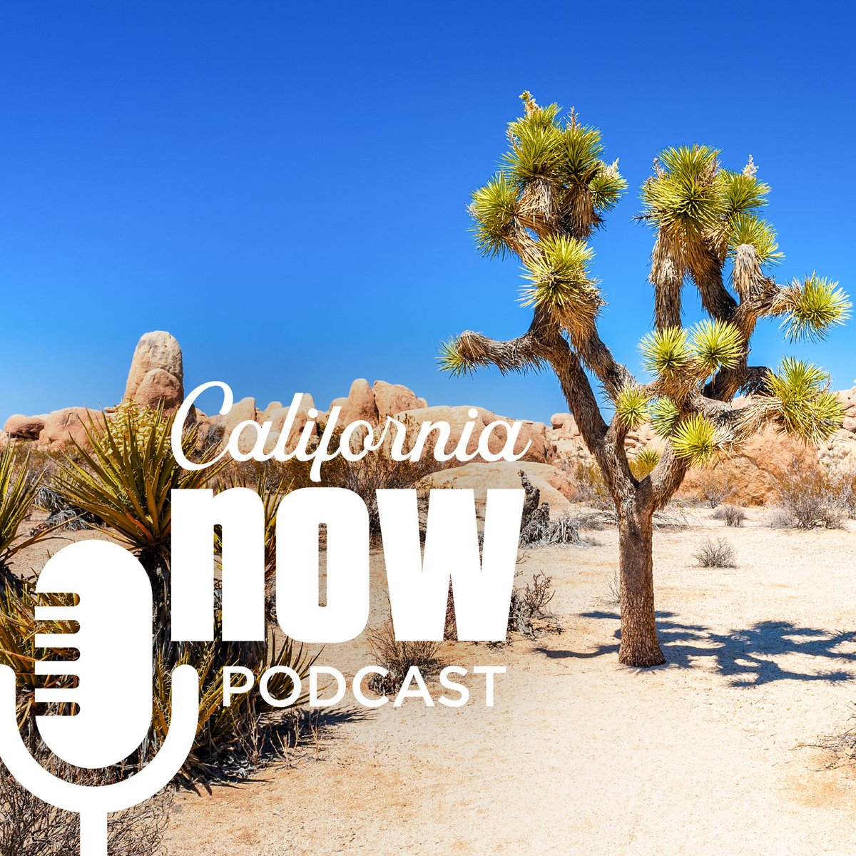 labreatarpits's tweet photo. What exactly is a โtar pitโ? From the vast fossil record to the examination of extinction, hear about the #TarPits from Dr. Emily Lindsey as the #CaliforniaNow Podcast dives into the natural wonders in literally every corner of the state: https://t.co/nZej9qptwN @VisitCA https://t.co/6rV8dYDBgL