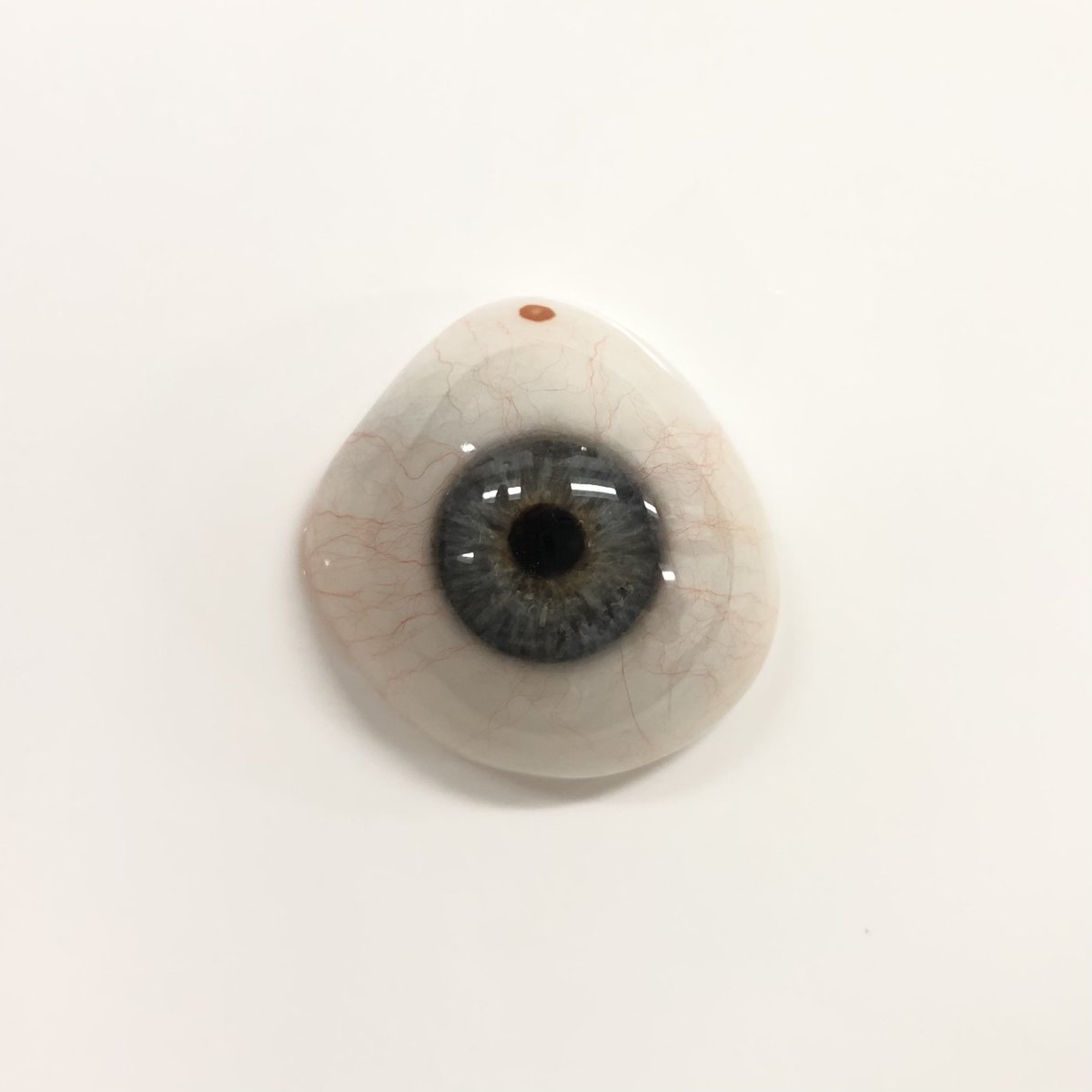 prostheticslab's tweet photo. One eye, two versions:
(posted with permission)
#ocularistry #prostheticeye #painting #artificialeye #scleralshell https://t.co/TVbfK66e4Z