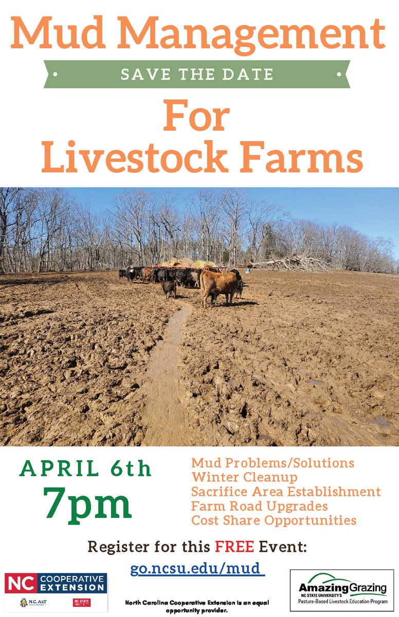 NC Cattlemen's Assoc tweet media