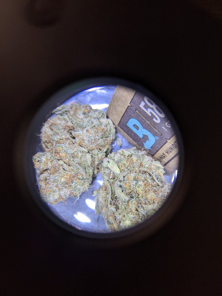 highlightstash1's tweet photo. The View From Here 🌿

Ingestion Imminent but first let's marvel at that 5X magnified &amp; LED lit Terpene Shield.

Humidity control keeps your trichomes on the bud not on the bottom of your HighLight StashJar.

#BovedaCannabis #AirtightStorage #HighLightStashJars #GG4 https://t.co/i4KHAdAv2t