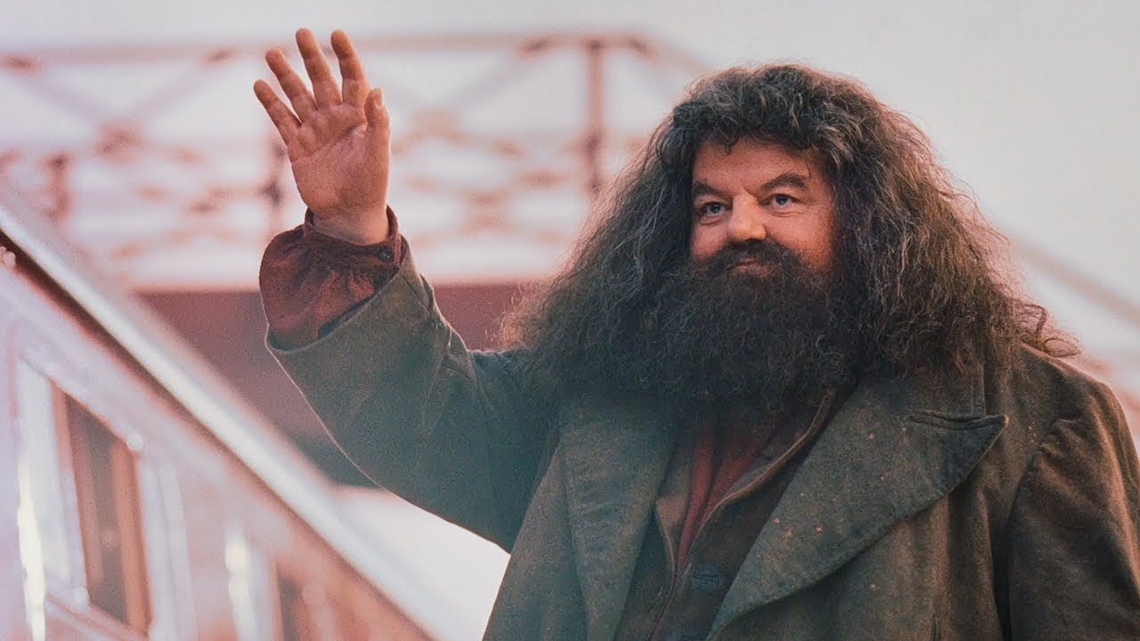 HAPPY BIRTHDAY BONNE FÊTE ROBBIE COLTRANE!        