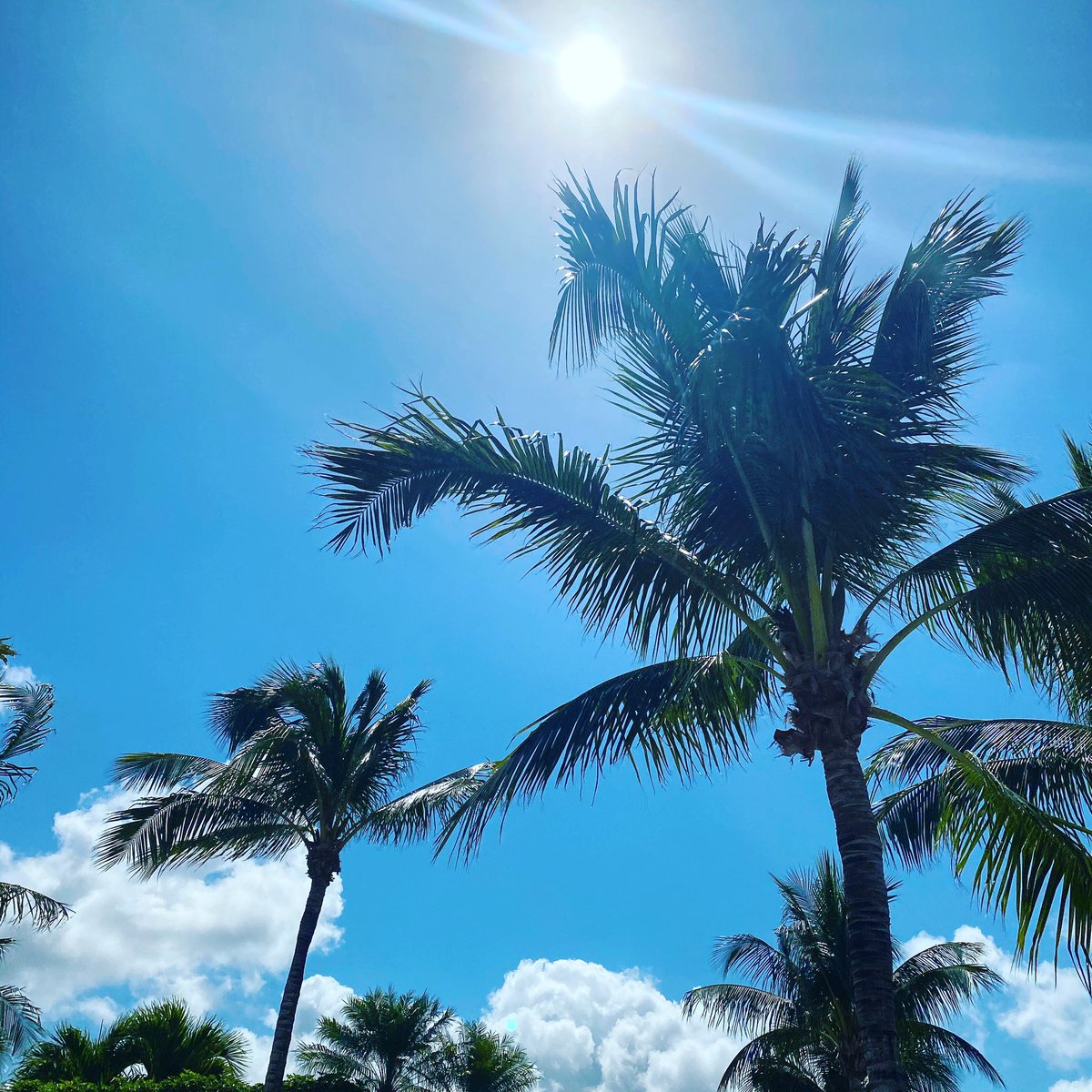 Elaineyoltay's tweet photo. Thankful for Gods Blessings ❤️🙏🏻❤️ #Naples https://t.co/BJ29ROwODZ