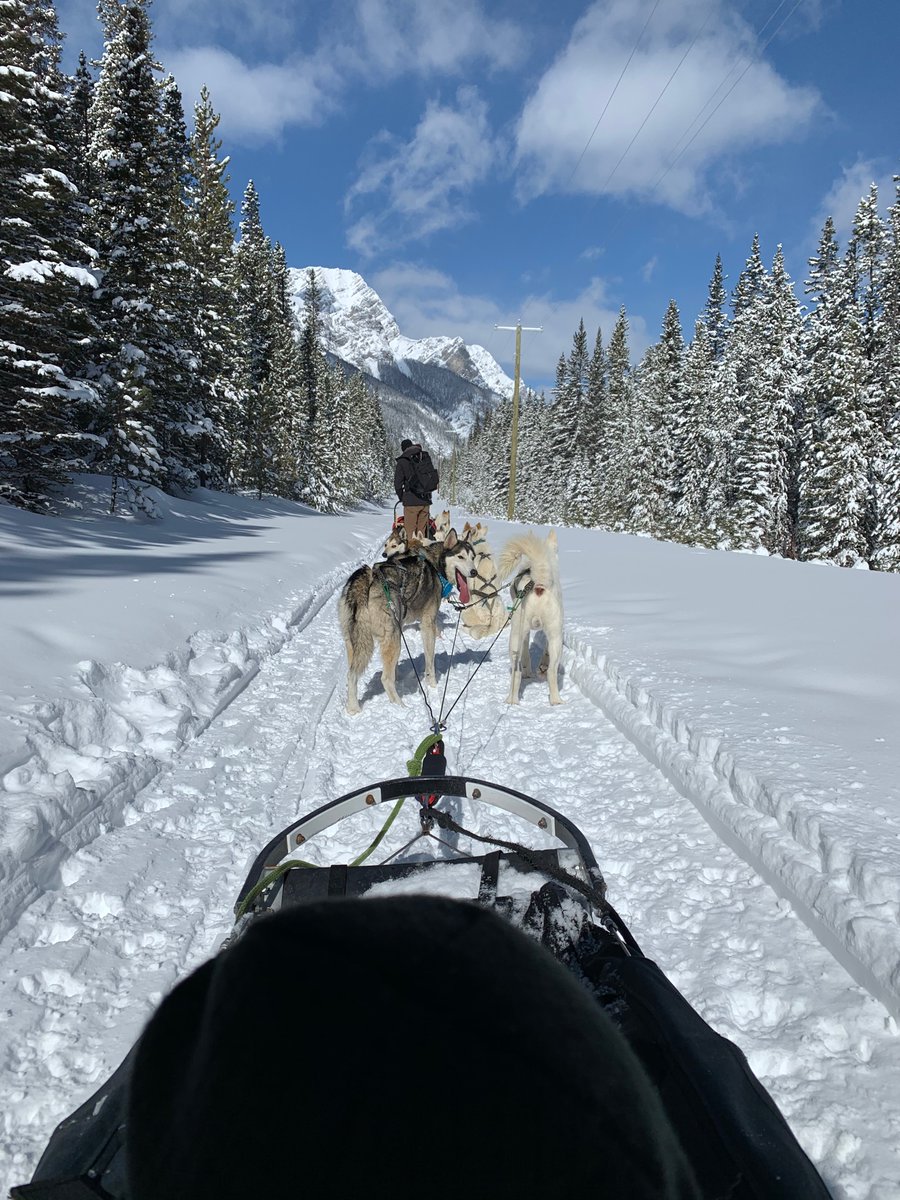 BrendaJOtto's tweet photo. Making lemonade, exploring Alberta. This time #Canmore https://t.co/GJ8PmIiyUx