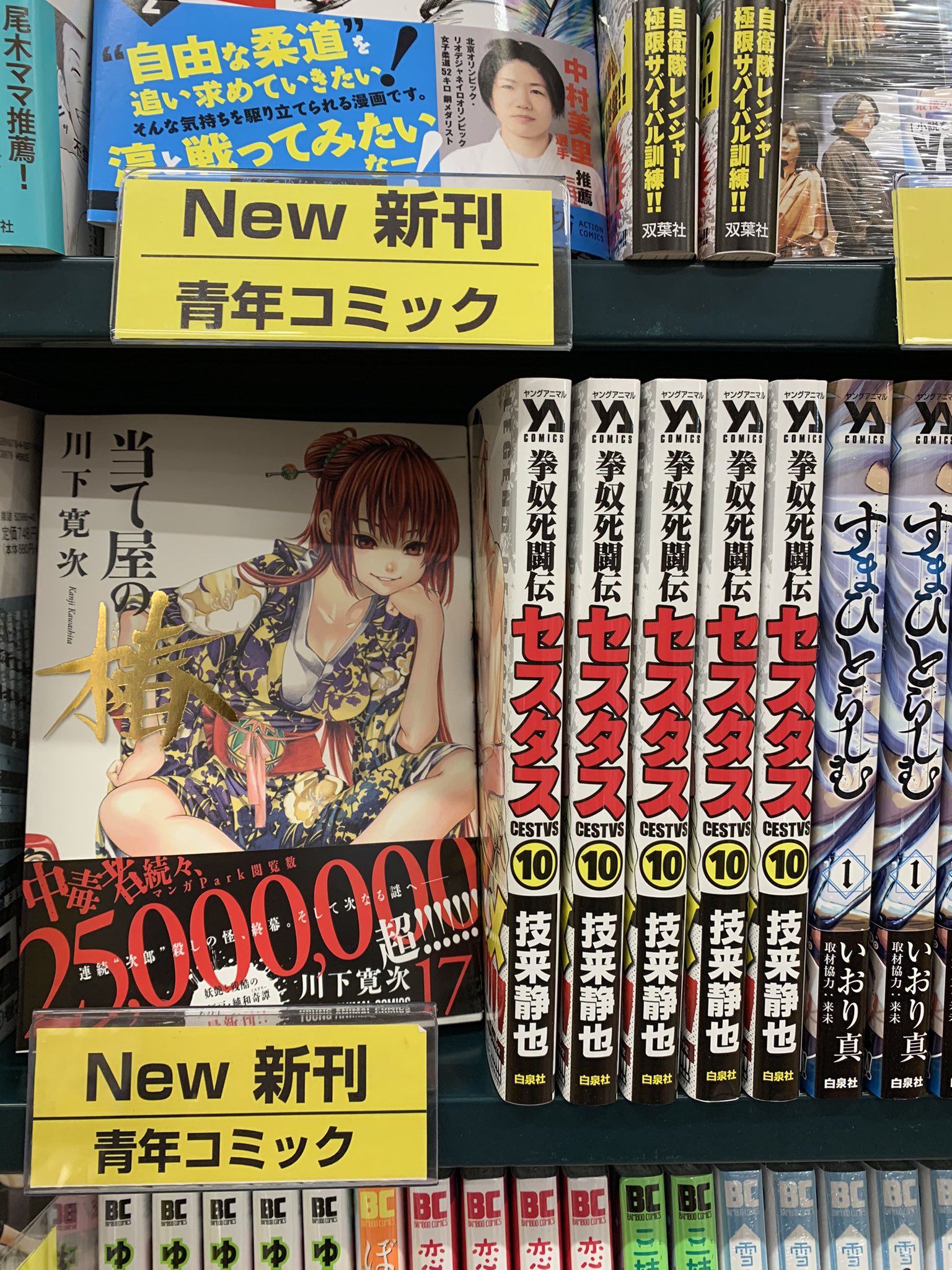 Tsutaya Avクラブ太宰府店 新刊情報 3月31日入荷の新刊 4月からアニメが開始 拳奴死闘伝セスタス 10巻 当て屋の椿 17巻 ナナとカオル 4巻 本日白泉社コミック入荷 御来店お待ちしております 白泉社 ヤングアニマル 新刊 青年