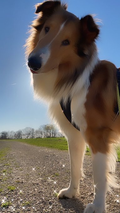 Watch SoulCandi's leaked NSFW photo on TwXstars