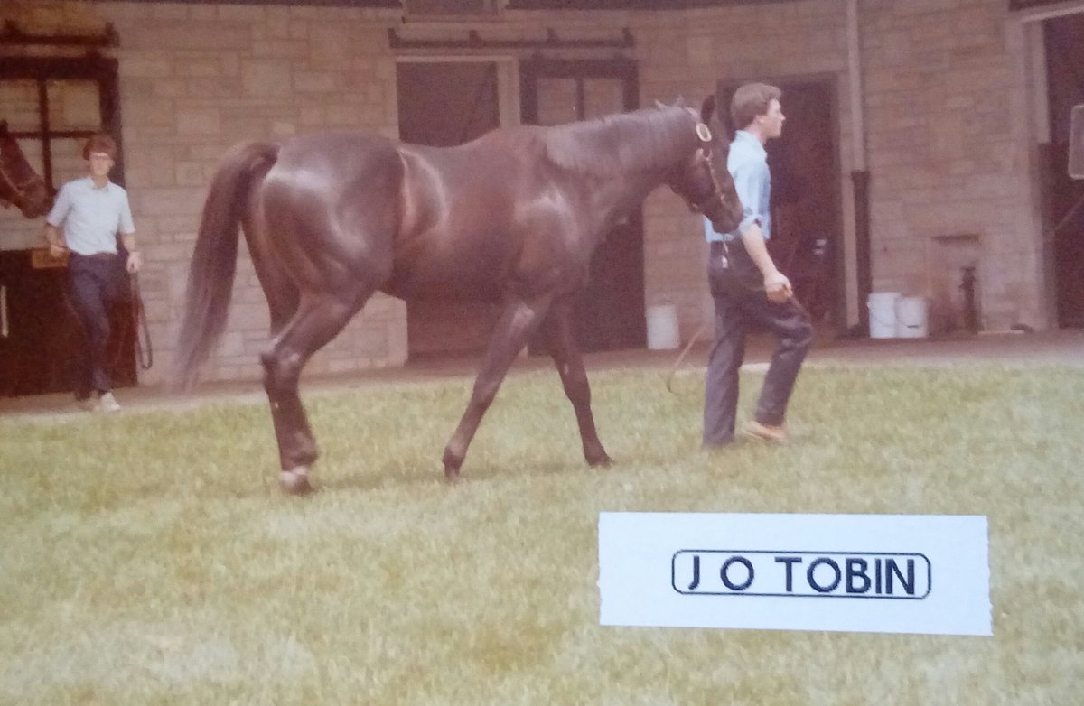 HORSERACING1002's tweet photo. J O TOBIN
#JOTobin https://t.co/cbWylZi4sn