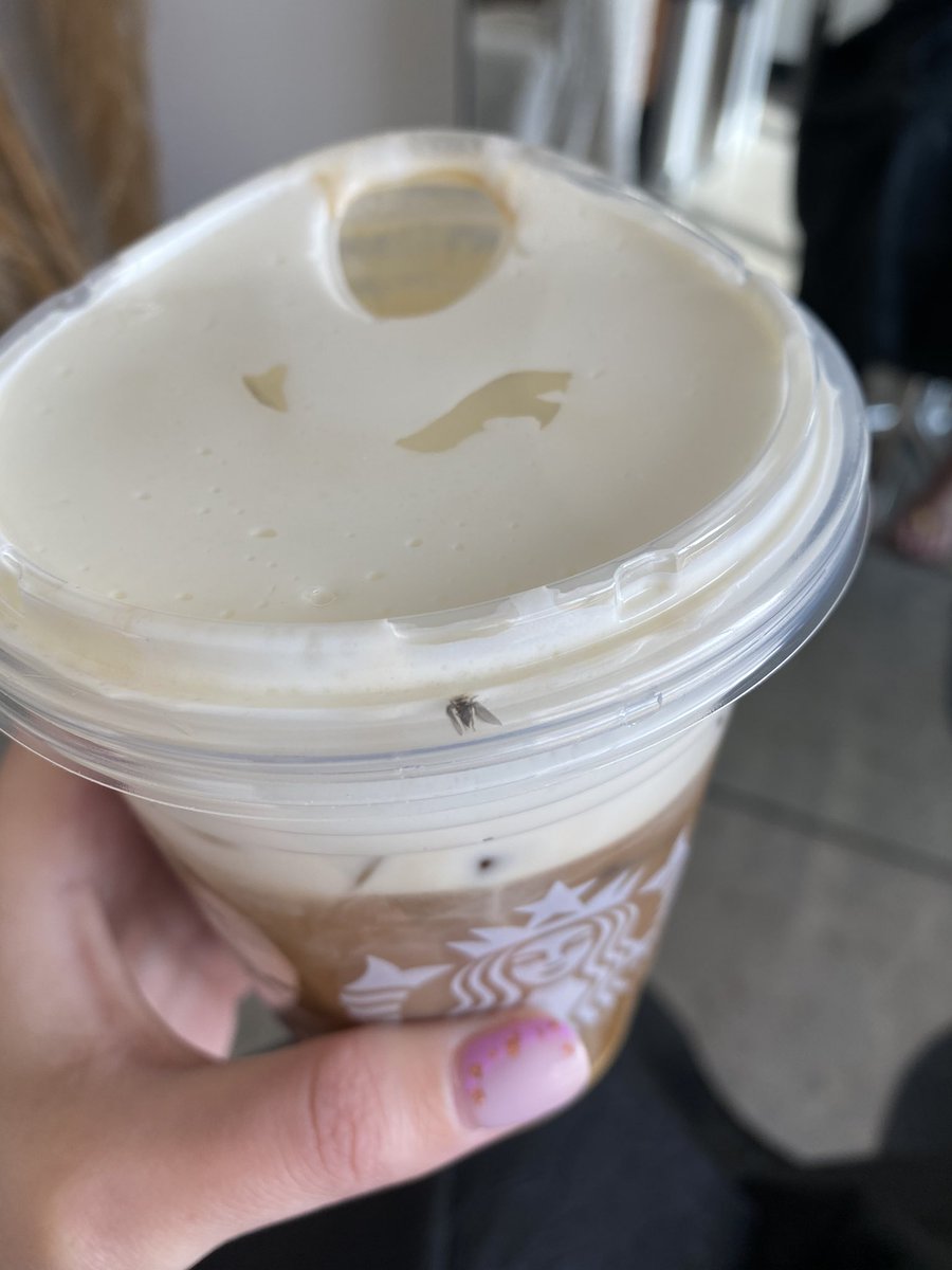 NielsenLynne's tweet photo. @Starbucks not quite a shrimp tail... but whyyyy meee 😭😭 #bugs #bugsinmycoffee #nonono https://t.co/j6BQkQmth5