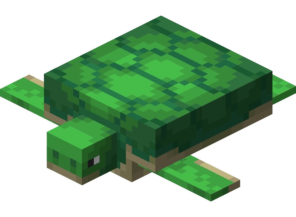 puackity4k's tweet photo. turtle ! https://t.co/cVcoBscPk8