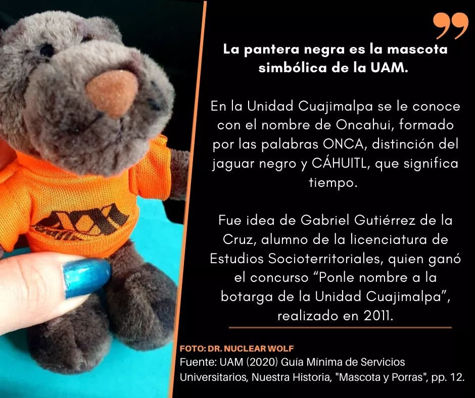 Pantera_UAM's tweet photo. ¿Ya vieron nuestra infografía del día de hoy?
----(
¿Sabían que en cada Unidad la pantera onca tiene un nombre diferente? En Cuajimalpa se llama "Oncahui", pero yo a todos les digo "Uamito", jajajaja.🧡🥴 https://t.co/6Gf9MuFxY7