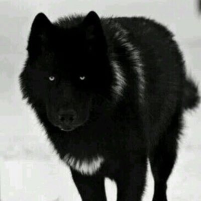 #صورة_جديدة_للملف_الشخصي