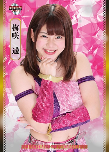 ワールド女子プロレス ディアナ W W W D Twitter