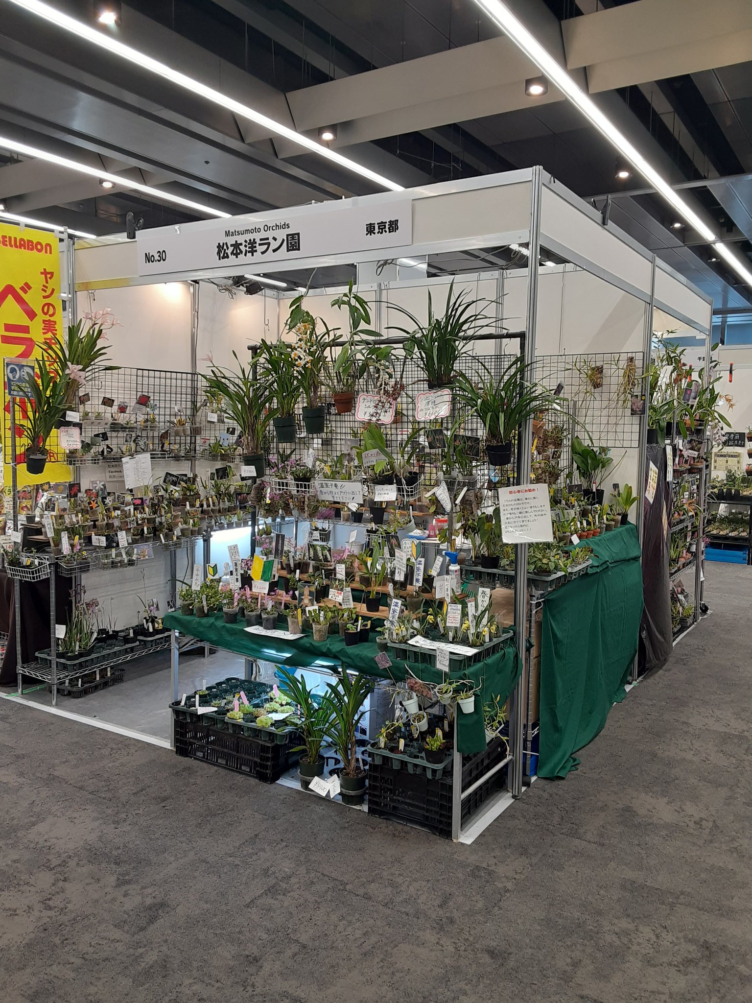 世界らん展21 Twitter Search Twitter
