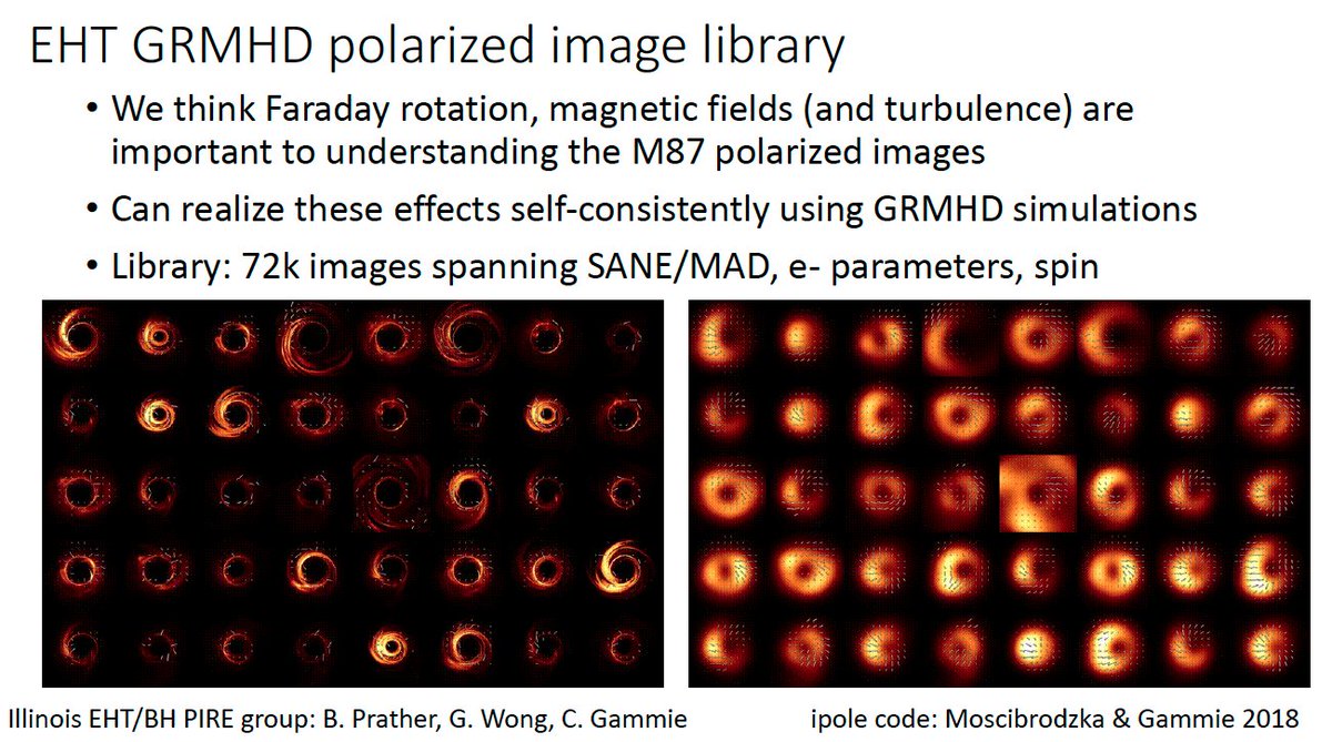 Black Hole PIRE tweet media