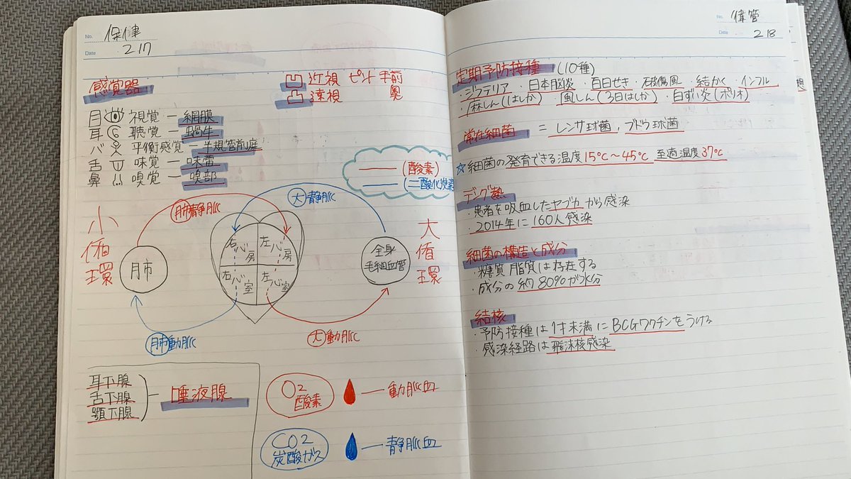 Reika_mg00's tweet photo. 勉強しすぎて頭おかしくなって
授業歩きながら受けた日もあった https://t.co/TXSGHJkJeh