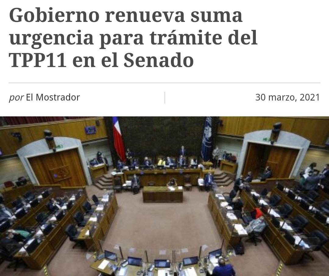 matiasasun's tweet image. Buen día @ProvosteYasna ¿Es posible enviarte con algún delivery un basurero grande y cómodo en el que puedas tirar está urgencia?
👇🏼