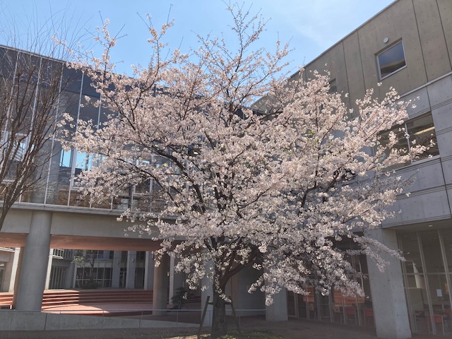 有明教育芸術短期大学 Ariaketan Twitter