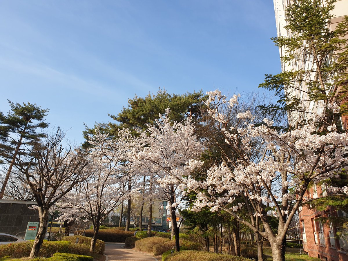 주역이정(김영회) (@ygas2d) on Twitter photo 