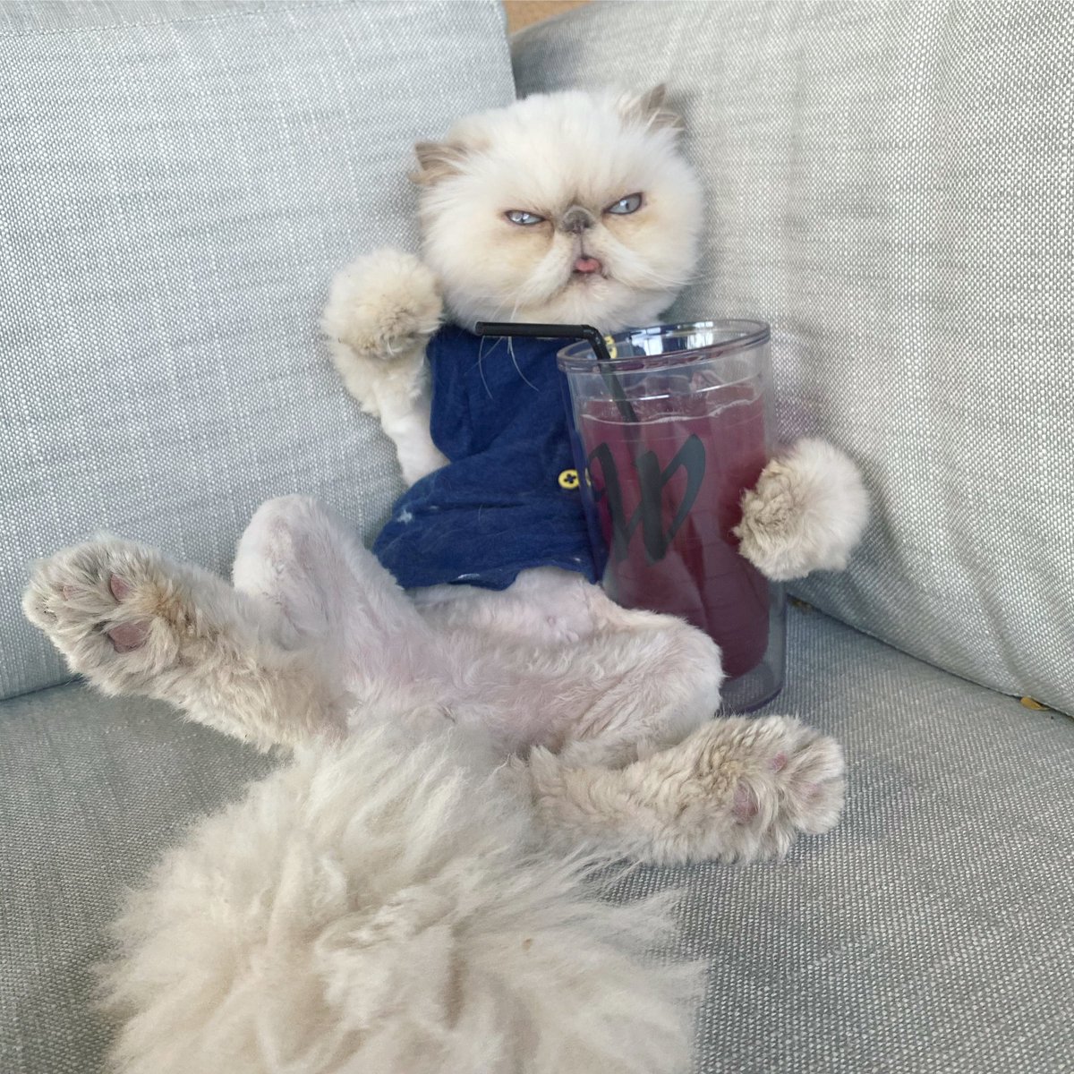RelatableShelby's tweet photo. When it’s 2 for 1 cocktails, so I got 6 🍷😹 #tuesdayvibes https://t.co/cY4Hs5ZYlo