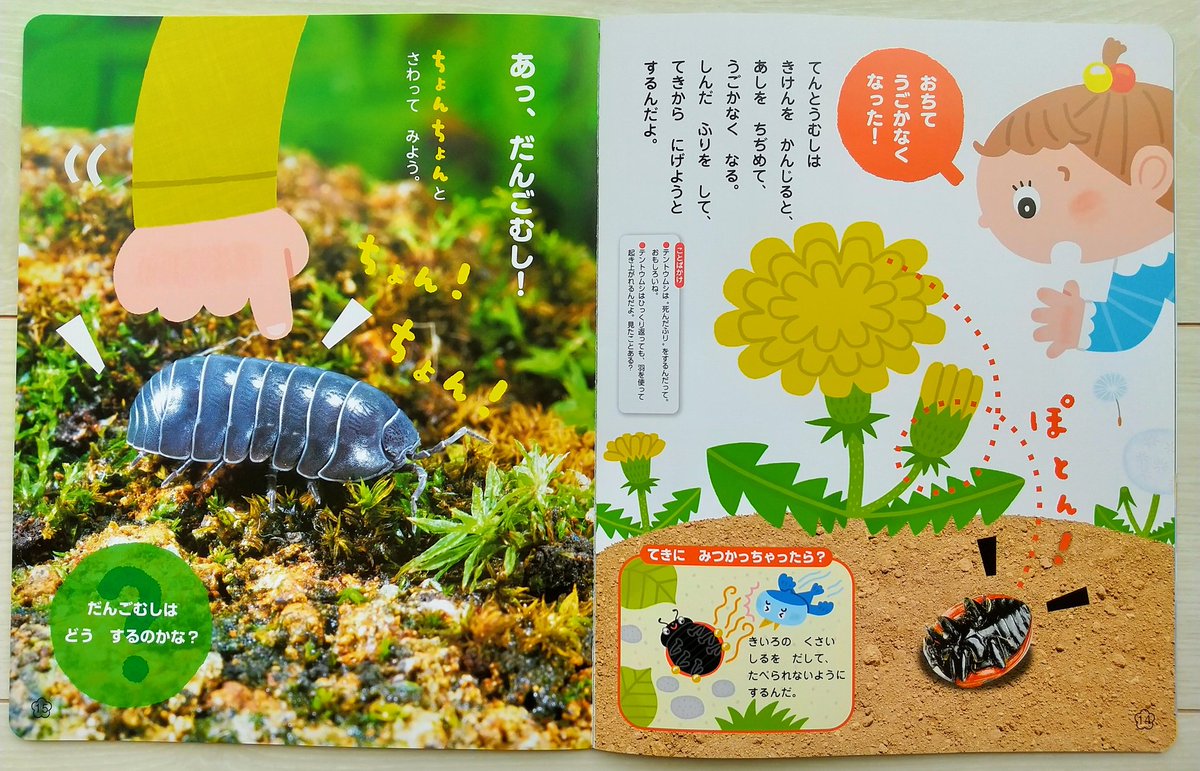 さくま育 イラスト 絵ほん ワンダーブック 世界文化ワンダークリエイト様 2021年4月号の特集 春のいきもの のコーナーのイラストを担当させて頂きました 虫さんたちを指でちょんちょんしてみると さくま育 イラスト 絵ほん ワンダーブック 世界文化ワンダークリエイト様 2021年4月号の特集 春のいきもの のコーナーのイラストを担当させて頂きました 虫さんたちを指でちょんちょんしてみると