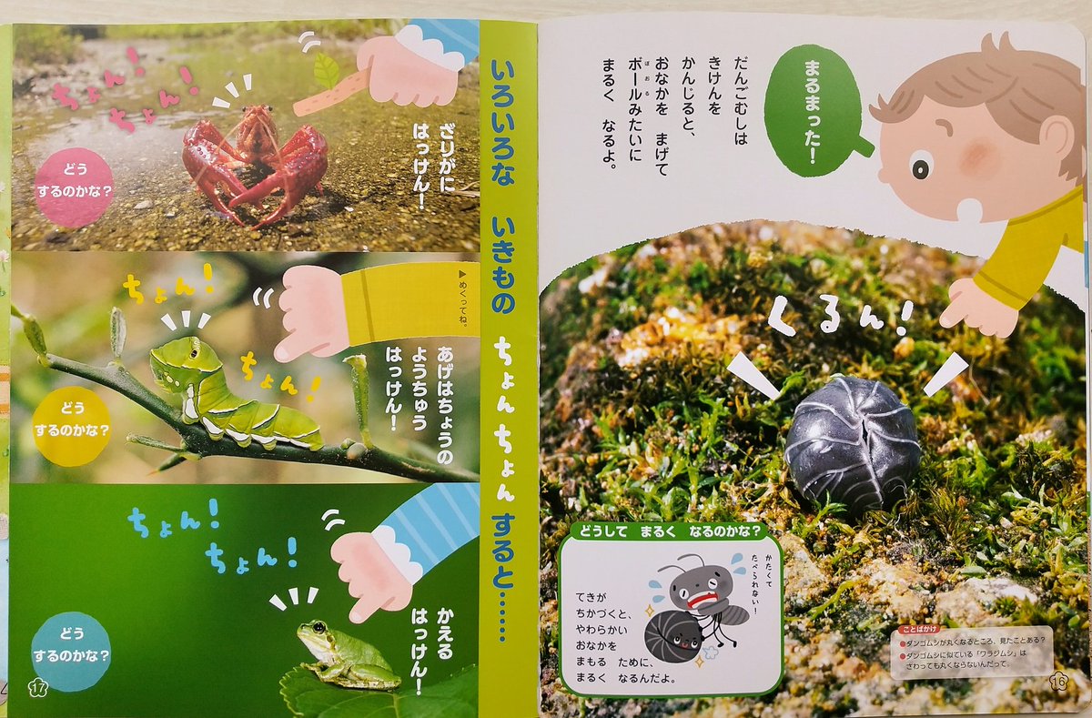 さくま育 クリエイターexpo南展示棟４階 F 19 ワンダーブック 世界文化ワンダークリエイト様 ２０２１年４月号の特集 春のいきもの のコーナーのイラストを担当させて頂きました 虫さんたちを指でちょんちょんしてみると