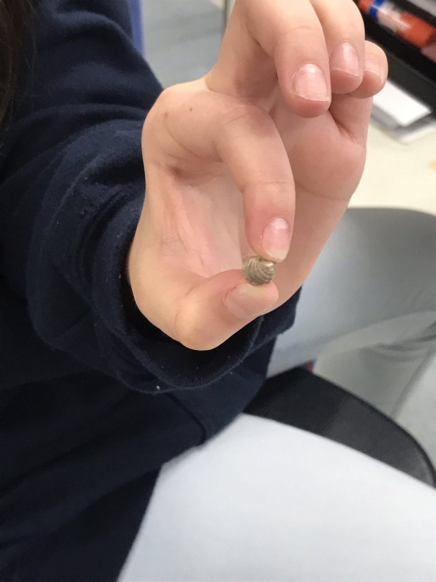 EmSchellinger1's tweet photo. @kolda_cadets has a true hidden gem! @Lindsay_Hull came to visit my 5th graders today to talk about the Geological Time Scale, evidence of past ecosystems and different types of fossils! The kids got to explore her fossil collection and they loved every single moment! https://t.co/GjauiGvJN4