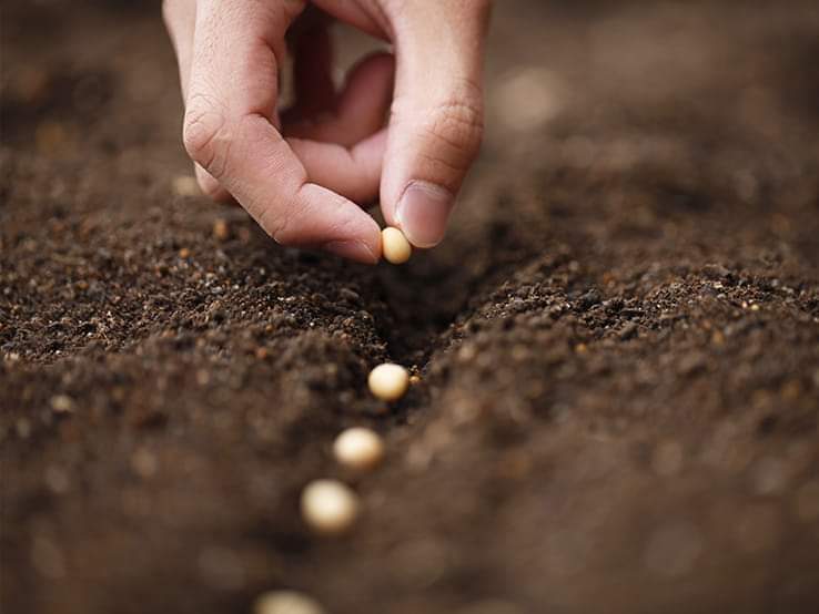 nalssine's tweet photo. 1 Peter 1:23 "having been born again, not of corruptible #seed but #incorruptible, through the #word of #God which lives and abides forever"

Everything is in the seed. Everything is inside of the word.

#bibleverse #born_again https://t.co/YEcBKOfJey